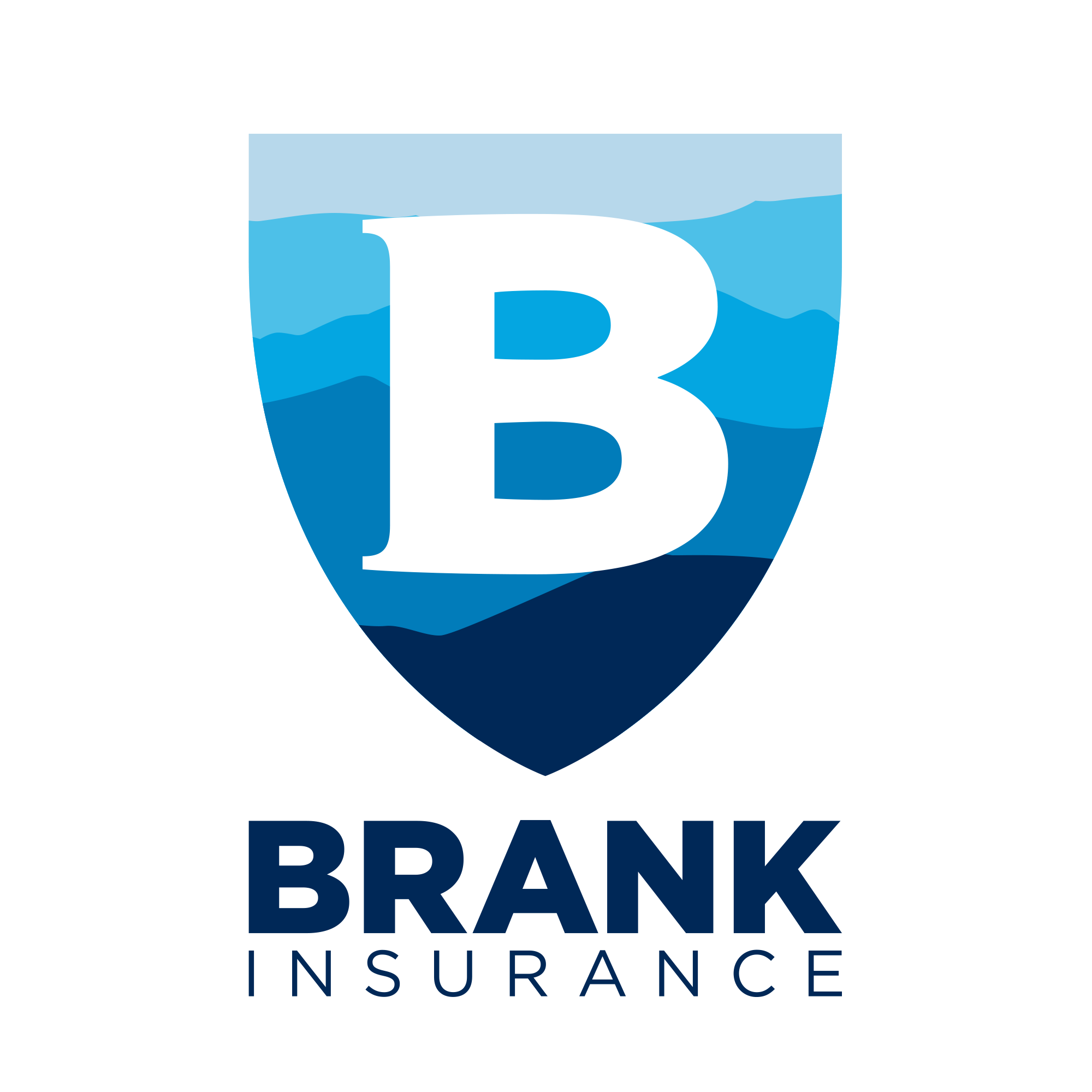Brank Insurance Agency